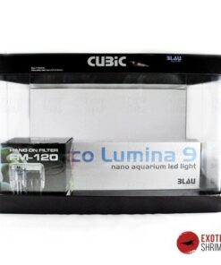 kit acuario 38 litros blau imagen destacada exotic shrimp