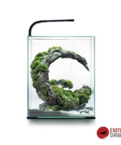 Aquael Shrimp Set Day&Night 30