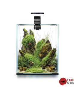 Aquael Shrimp Set Day&Night 20