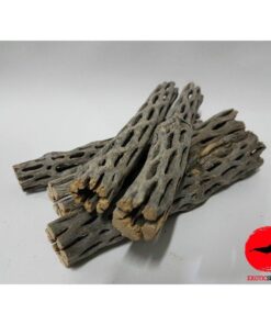 TRONCO CHOLLA