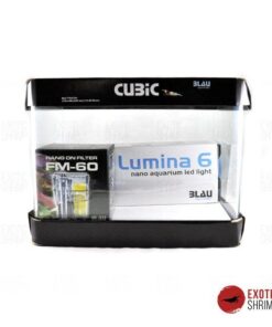 kit acuario 13 litros blau imagen destacada exotic shrimp