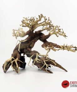 ARBOL BONSAI Nº2