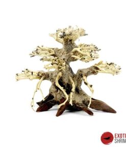 ARBOL BONSAI Nº3