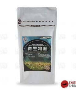 gleen lee baby food exotic shrimp