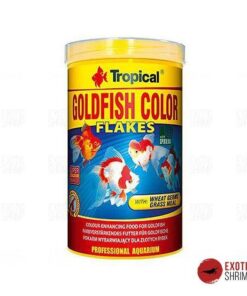 gold fish color tropical alimento para peces exotic shrimp imag destacada