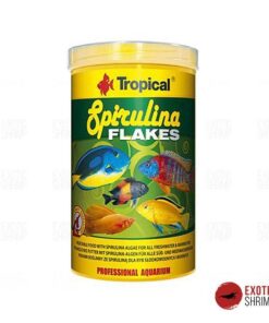 spirulina flakes tropical alimento para peces exotic shrimp imag destacada