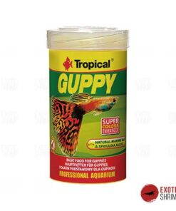 tropical guppy alimento para peces exotic shrimp imag destacada