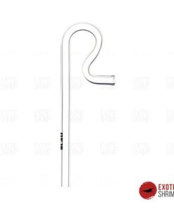 Glass Jet Outflow 10mm 13mm exotic shrimp
