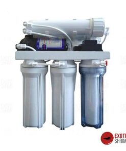 Equipos con Bomba Booster 50 imagen destacada exotic shrimp