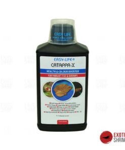 catappaX exotic shrimp imag destacada