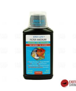 filter medium exotic shrimp imag destacada