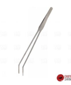 pinzas curvas exotic shrimp imag destacada