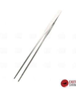 pinzas rectas exotic shrimp imag destacada