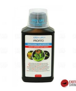 profit exotic shrimp imag destacada