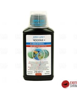 voogle exotic shrimp imag destacada