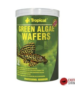 TROPICAL GREEN ALGAE WAFERS