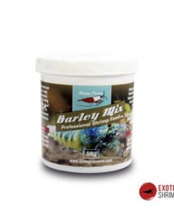SHRIMPS FOREVER BARLEY MIX