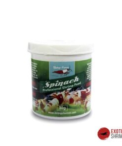 SHRIMPS FOREVER SPINACH