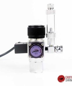 CO2 REGULATOR (MANOREDUCTOR + SOLENOIDE)