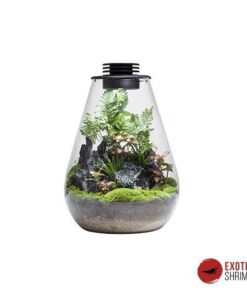 BIOLOARK ECO BOTTLE: DROP SHAPE