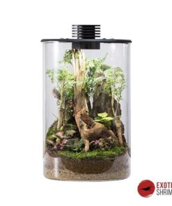 BIOLOARK ECO BOTTLE: CYLINDRICAL