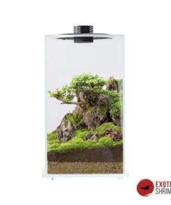 BIOLOARK ECO BOTTLE: SQUARE