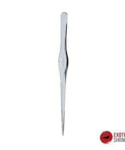 CHIHIROS PINZA RECTA