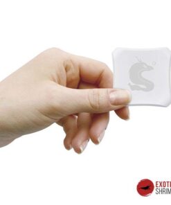 CHIHIROS WIFI HUB