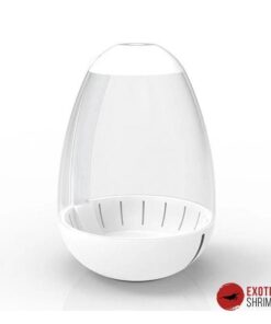 CHIHIROS TINY TERRARIUM EGG