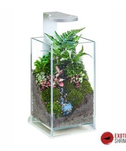 CHIHIROS MAGNETIC LIGHT
