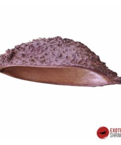 BOLSTER POD