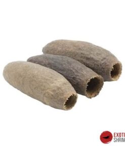 CARINIANA POD x1