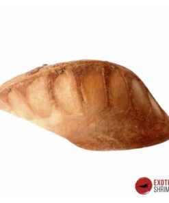 ISOBERLINIA POD