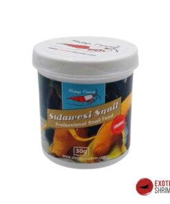 SHRIMPS FOREVER SULAWESI SNAIL
