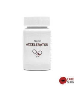 AQUARIO NEO CAP ACCELERATOR