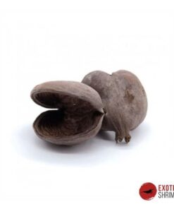 BADAM NUT