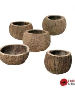MEDIO COCO 8-10CM