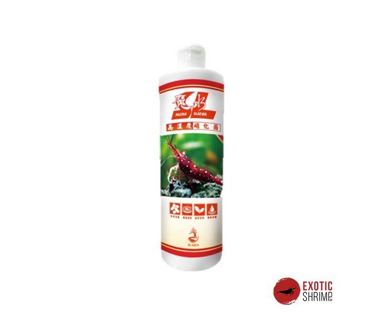 Bacterias sulawesi