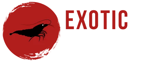 logo-exotic-retina blanco