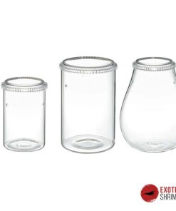 CHIHIROS GLASS POT DEW