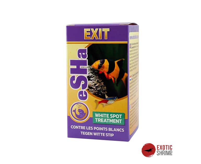EXIT