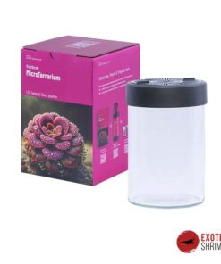 VivoVerde MicroTerrarium