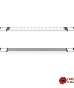 CHIHIROS W SERIE (WATERPROOF)