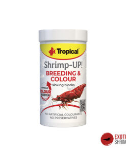 TROPICAL SHRIMP-UP BREEDING & COLOUR