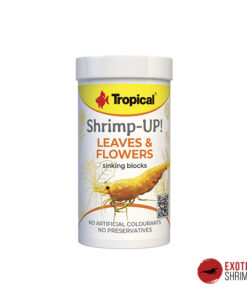 TROPICAL SHRIMP-UP LEAVES & FLOWERS
