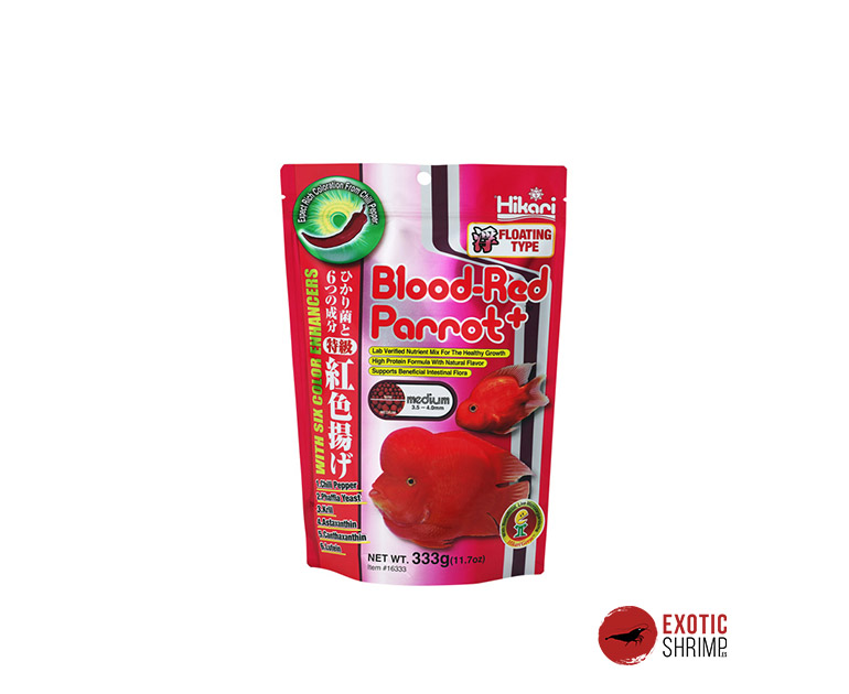 hikari blood-red parrot+