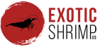 logo exotic shrimp retina